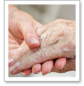 Services